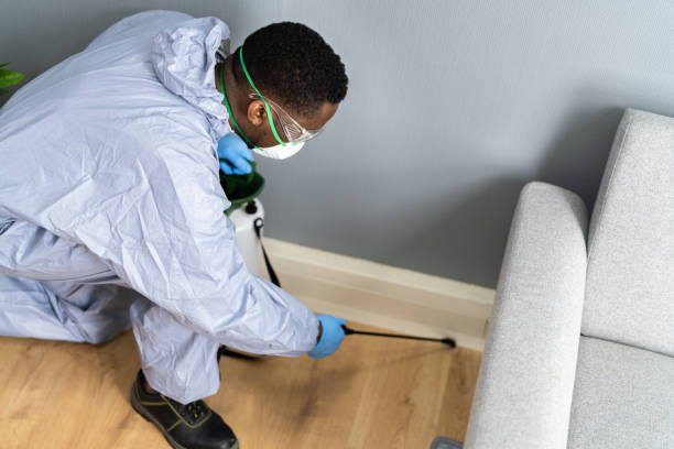 Best Pest Prevention Services  in Wayland, MI